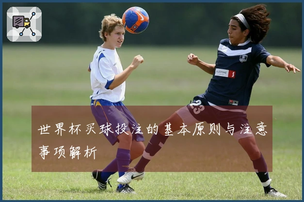 世界杯买球投注的基本原则与注意事项解析
